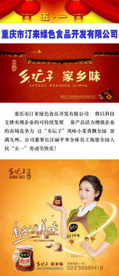 跨界融合 汀來綠色食品開發(fā)與重慶軟件開發(fā)的協(xié)同發(fā)展